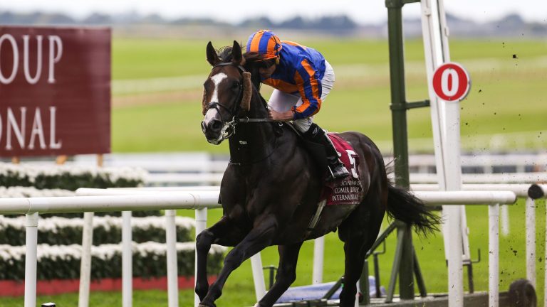 How a Horse Racing API Can Transform Racing Websites and Improve the User Experience